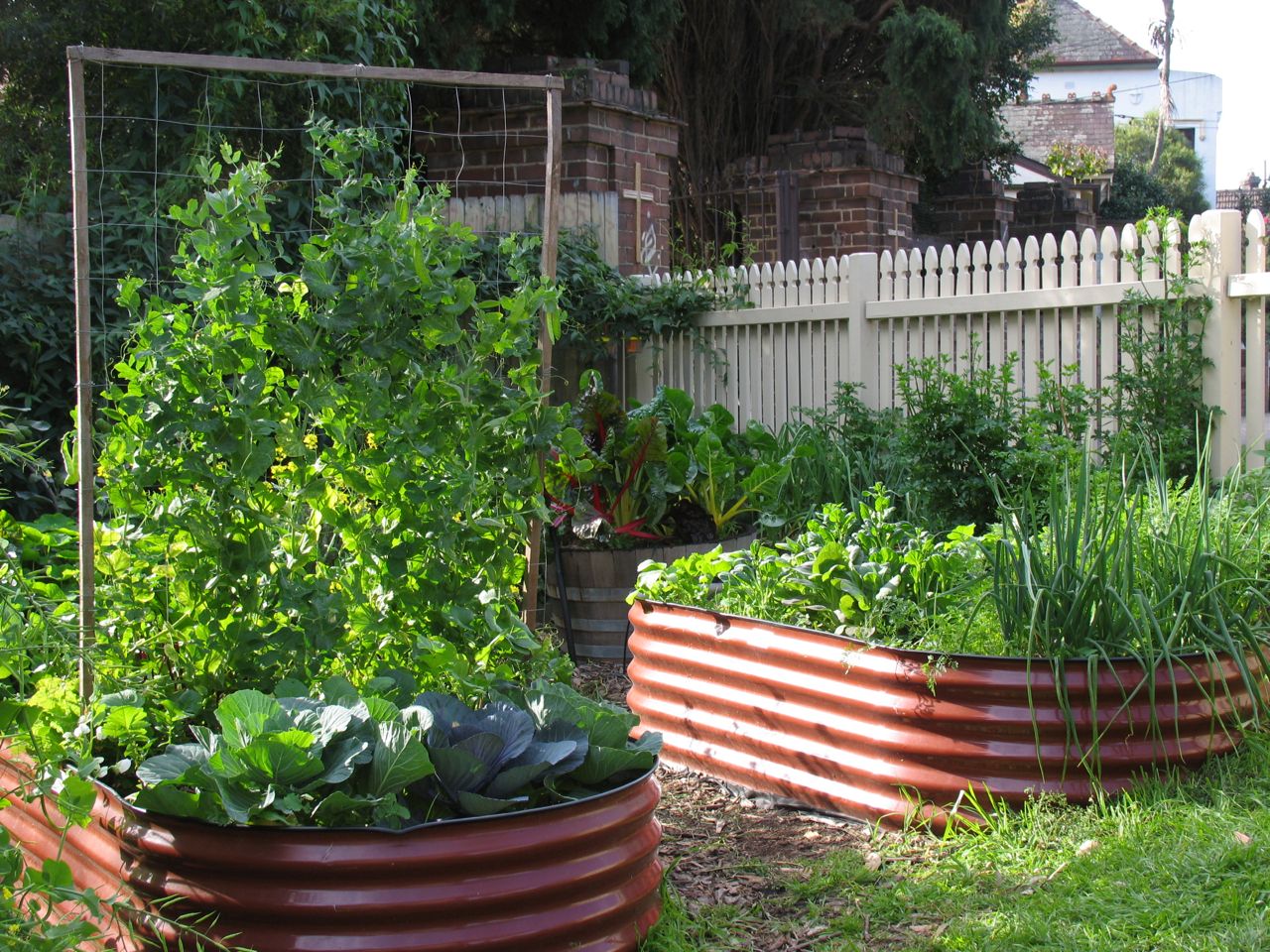 Sustainable House at Petersham