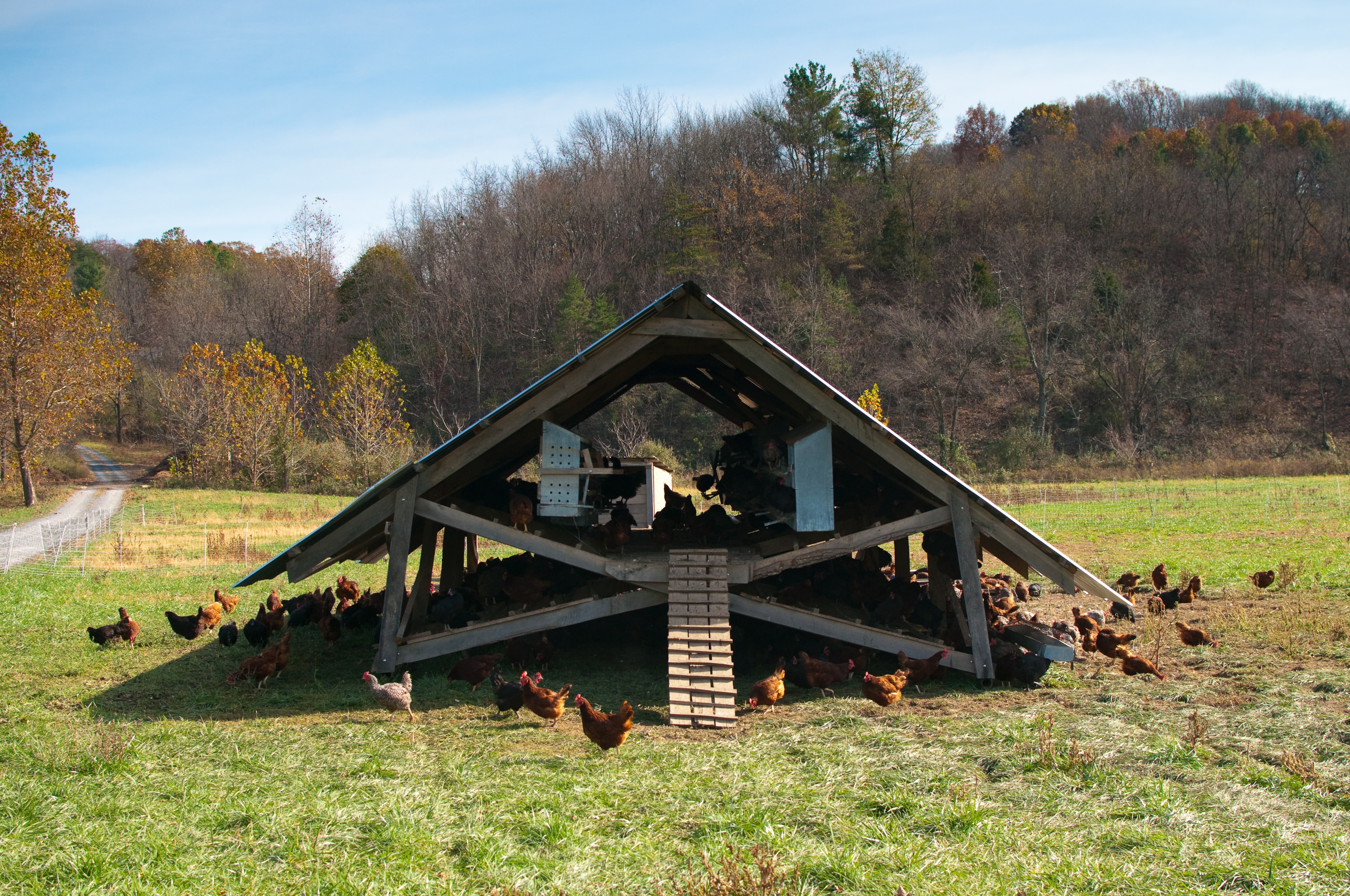 Joel Salatin returns to Australia - Milkwood: permaculture ...