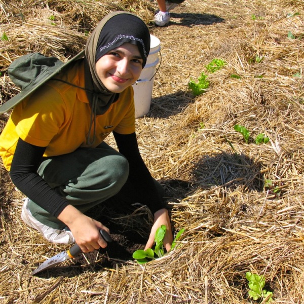 School Gardening