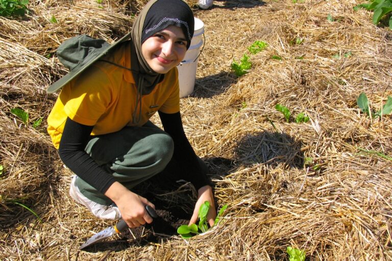 Sakina planting bok choy