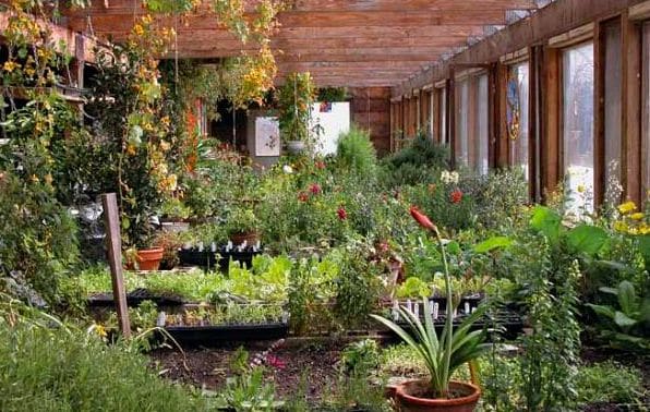 Planning Our Organic Market Garden Milkwood Permaculture