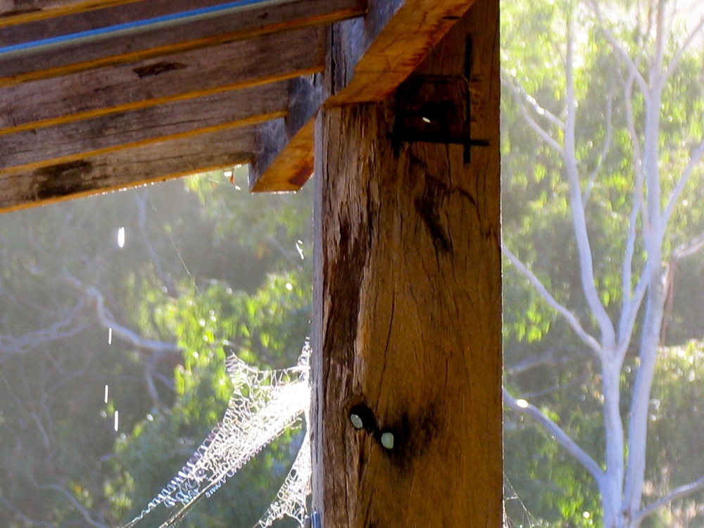 Making a Bathroom Mushroom House (the good kind) - Milkwood: permaculture  courses, skills + stories