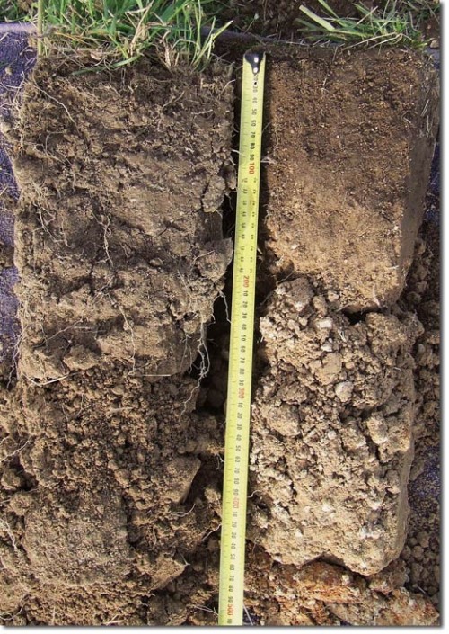 winona soil profile