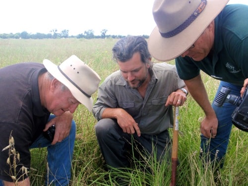 pasture cropping