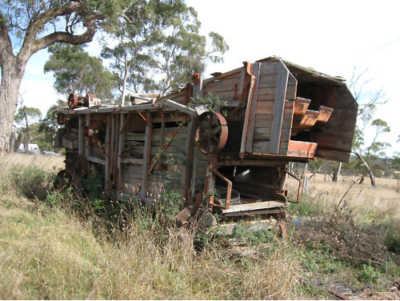 milkwood