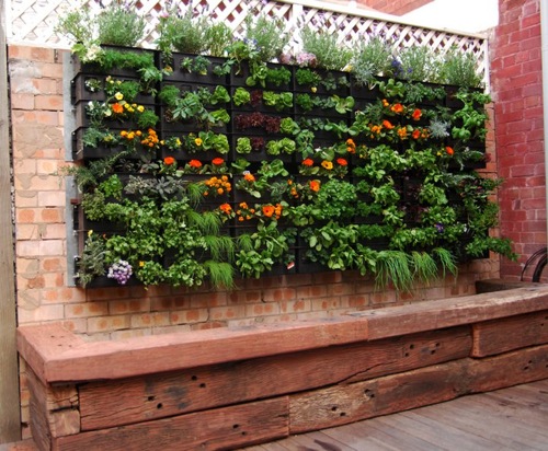 Vertical Garden meets Aquaponics - Milkwood: permaculture 