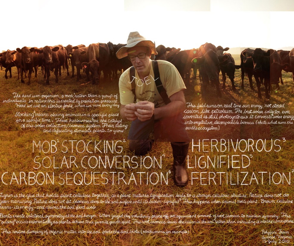 Lexicon Joel Salatin