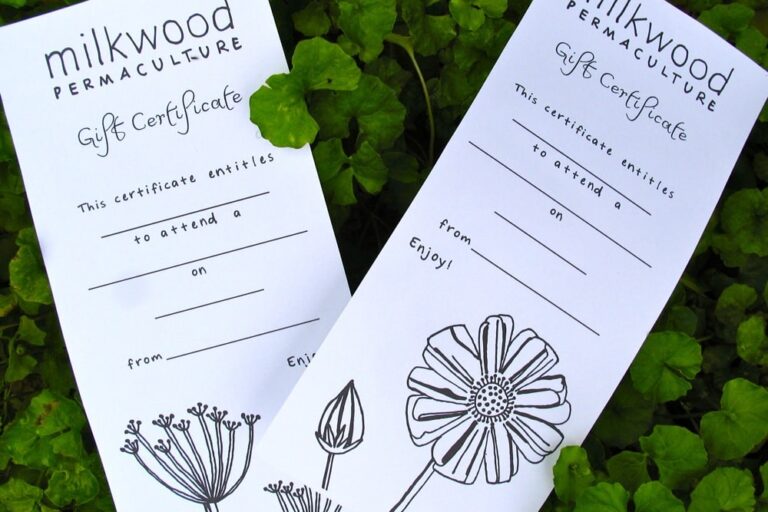 milkwood gift certificates 2