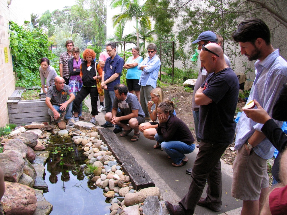 Upcoming workshop: DIY Aquaponics systems: Sydney 17-18 Dec - Milkwood ...