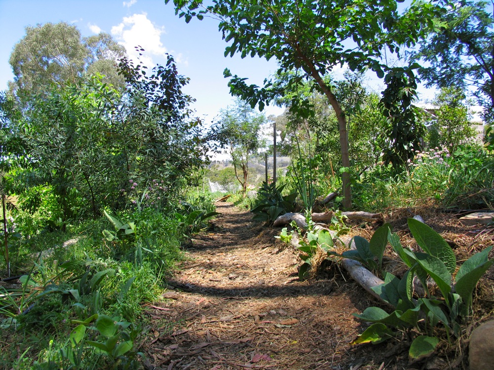 A Way Through the Woods Designing the Paths in our Forest