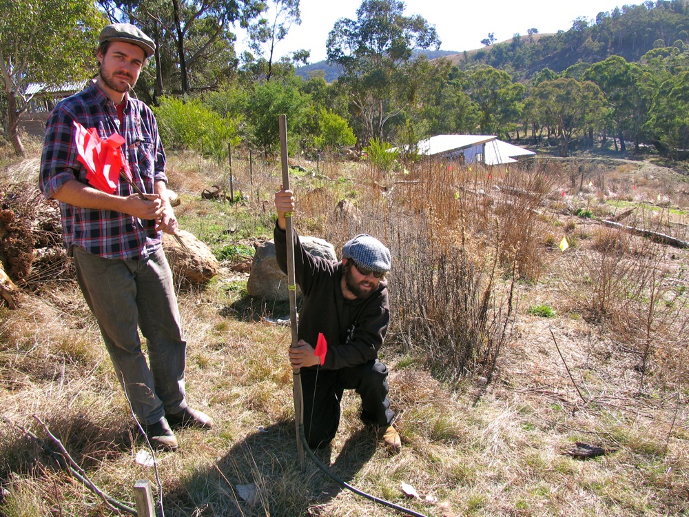 milkwood_forest_garden_02