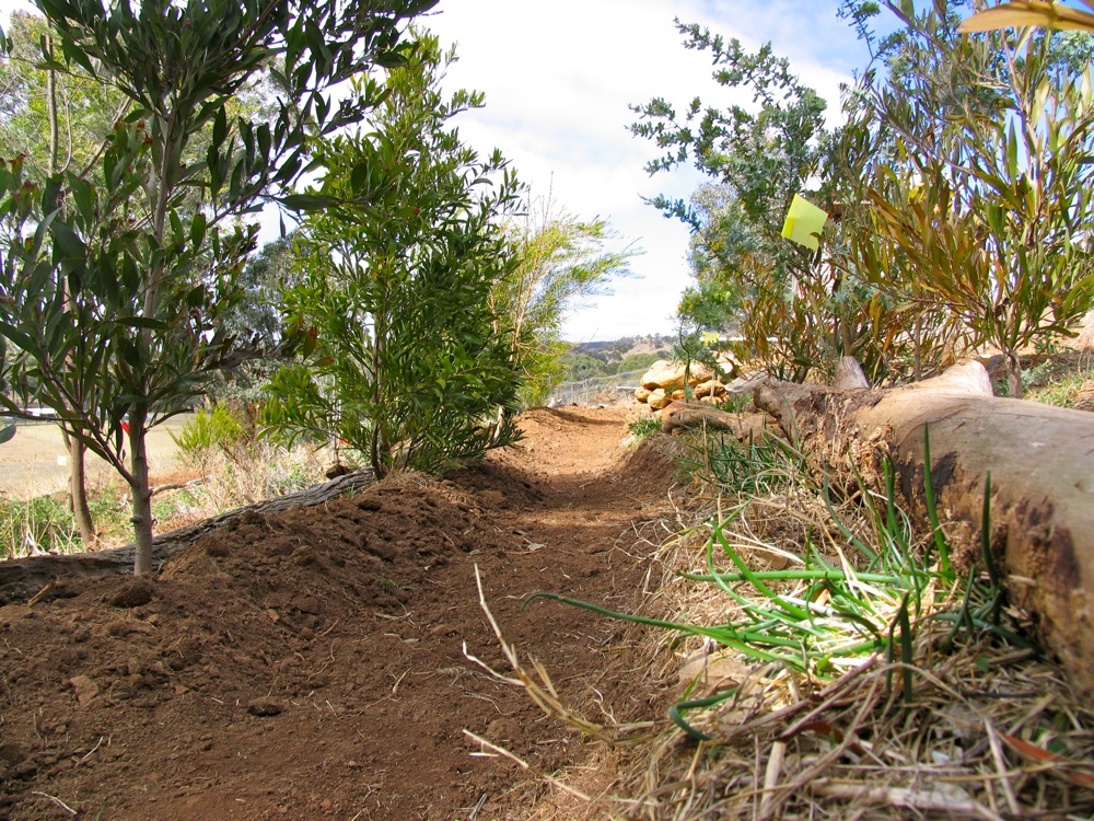 milkwood_forest_garden_06