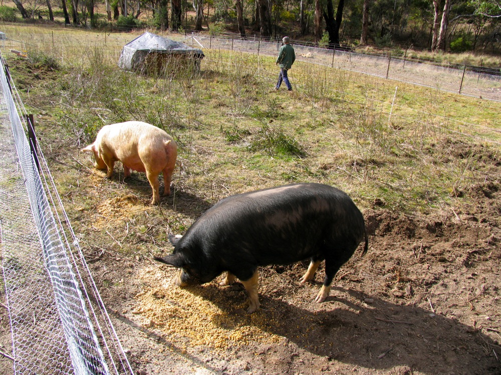 milkwood_201117