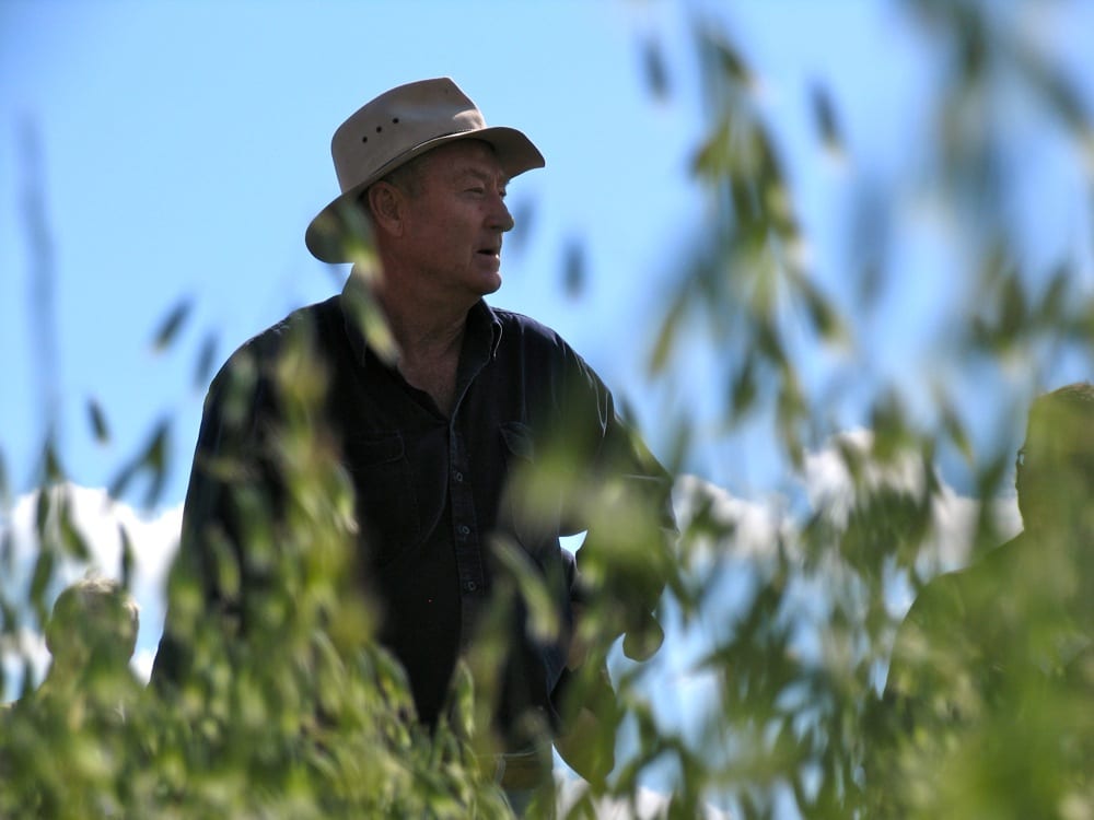 milkwood_201126