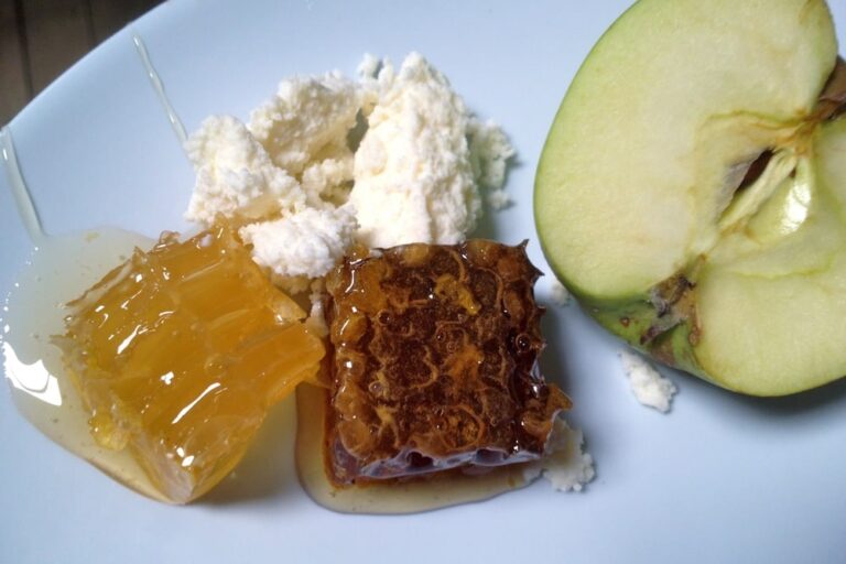 brood_comb_1