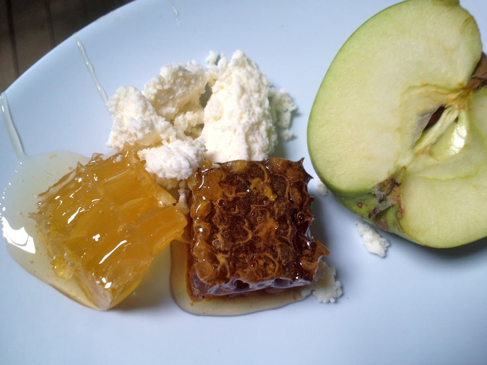 brood_comb_1