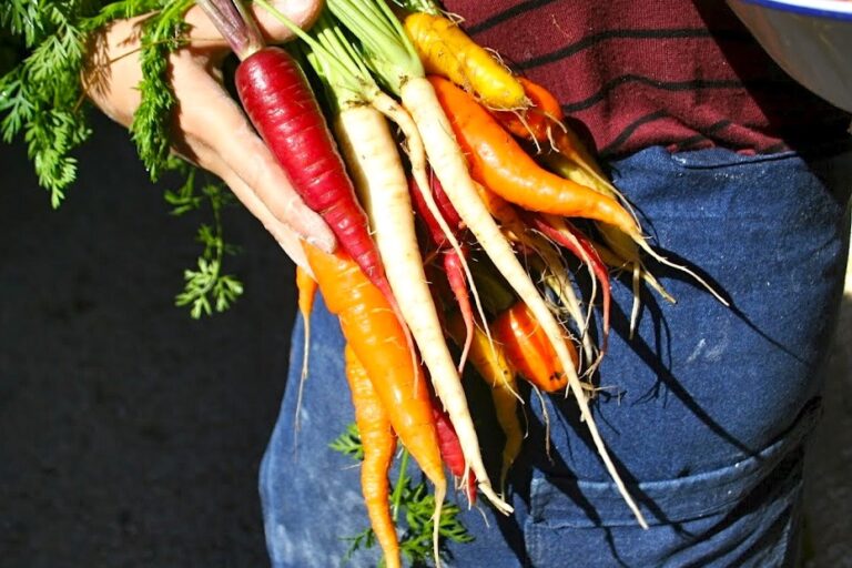 carrots_1