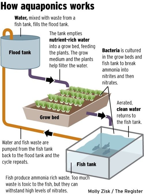 note that we’ve scheduled some spring Aquaponics Workshops in Sydney ...