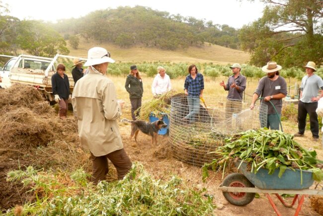1206 composting – 01