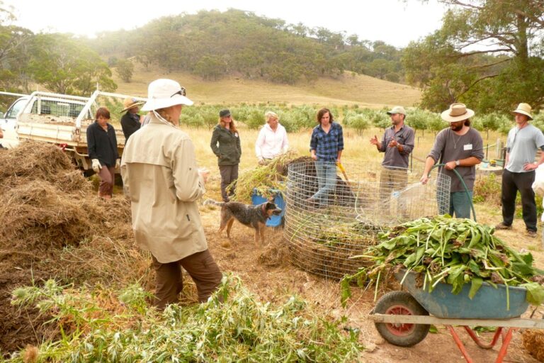 1206 composting – 01
