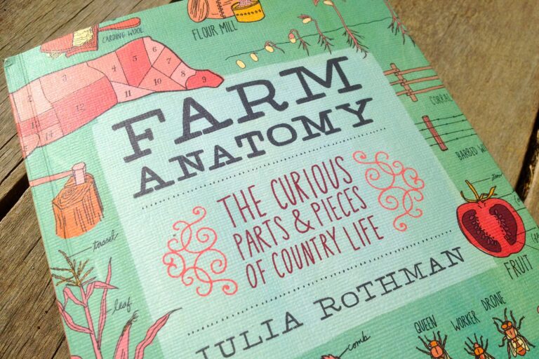1207 farm anatomy – 01
