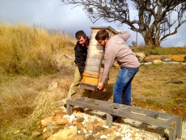 1207 moving the hives – 01