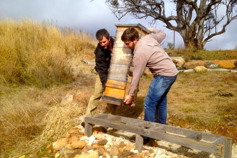 1207 moving the hives – 01