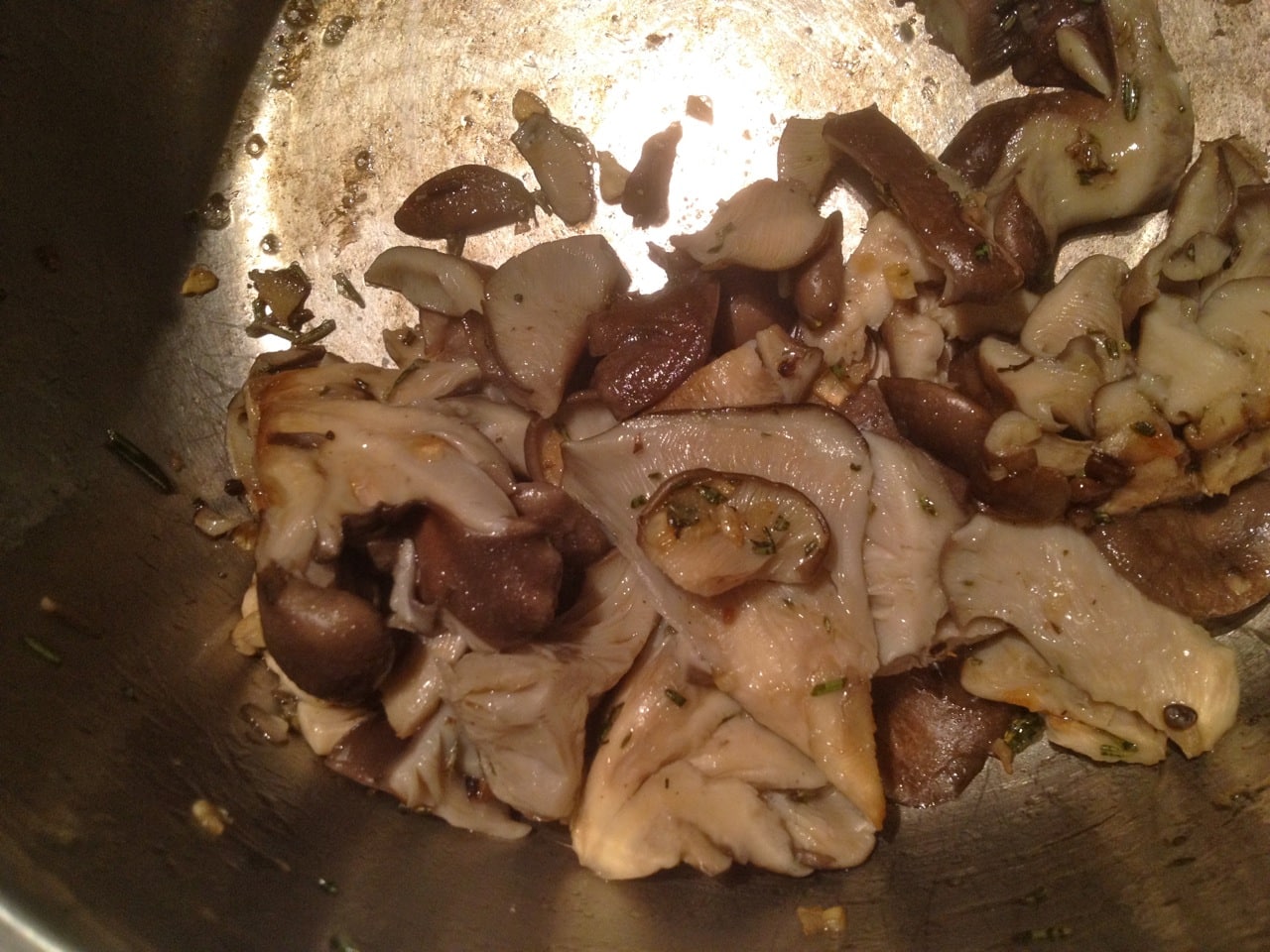 1207 oyster mushrooms - 11