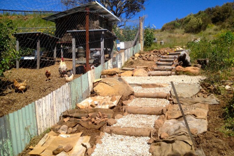 1207 steps – 12