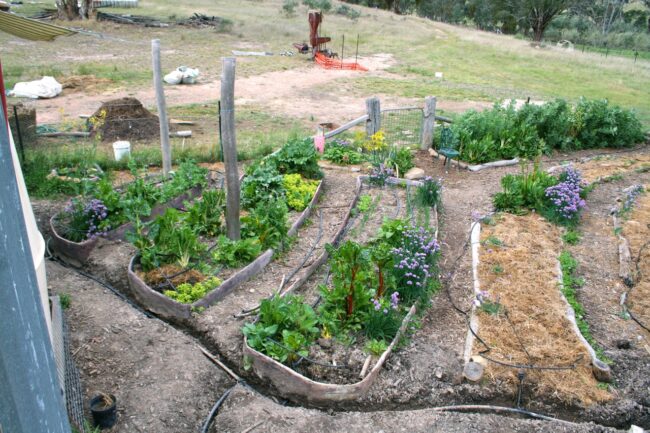 1207 worm farm – 16