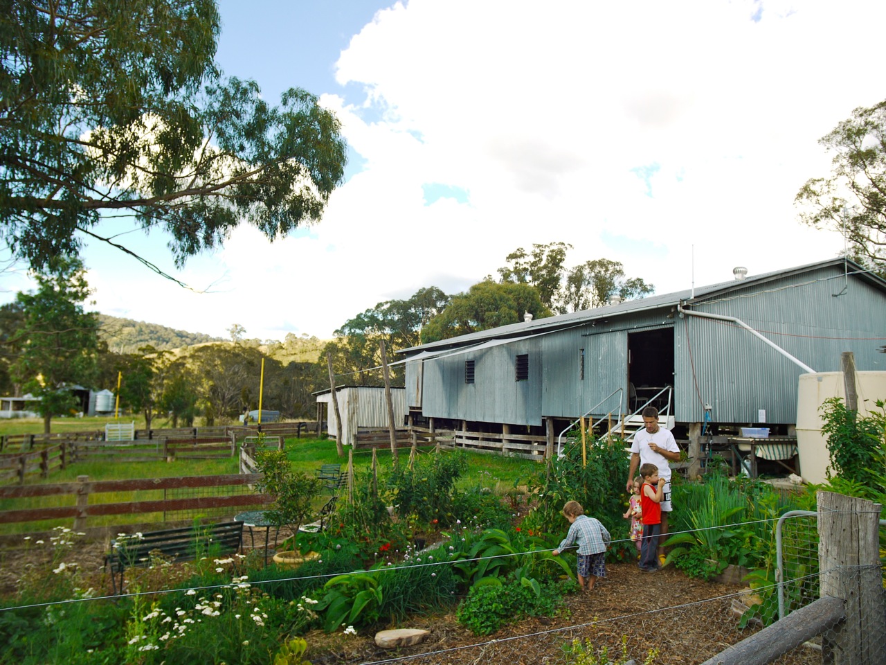 1207 worm farm - 17