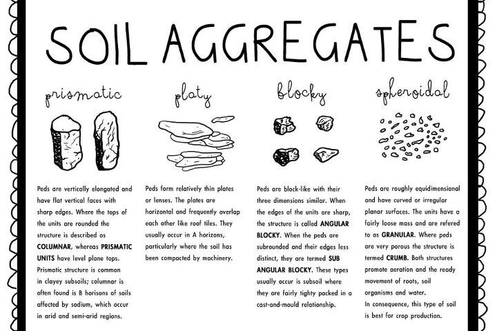 soil aggregates