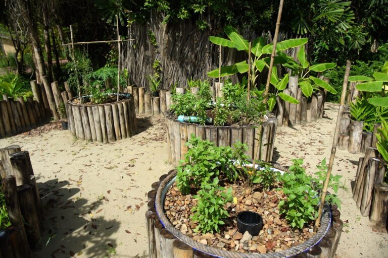 fb aquaponics – 17