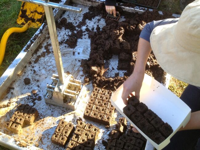 soil blocking