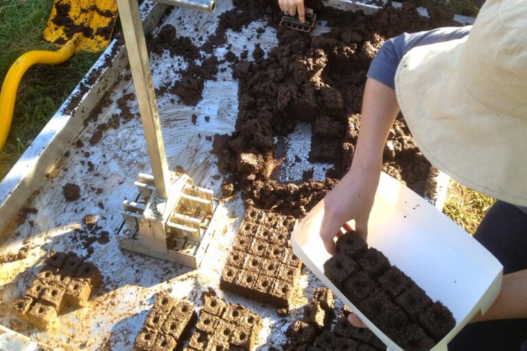 soil blocking