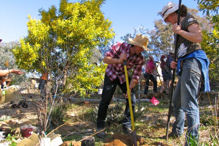 1208 forest garden internship – 01