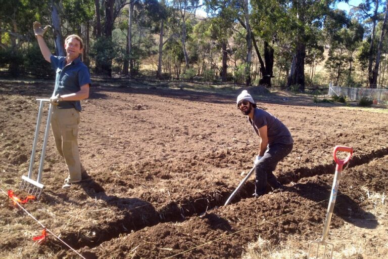 1208 Market Garden update – 01