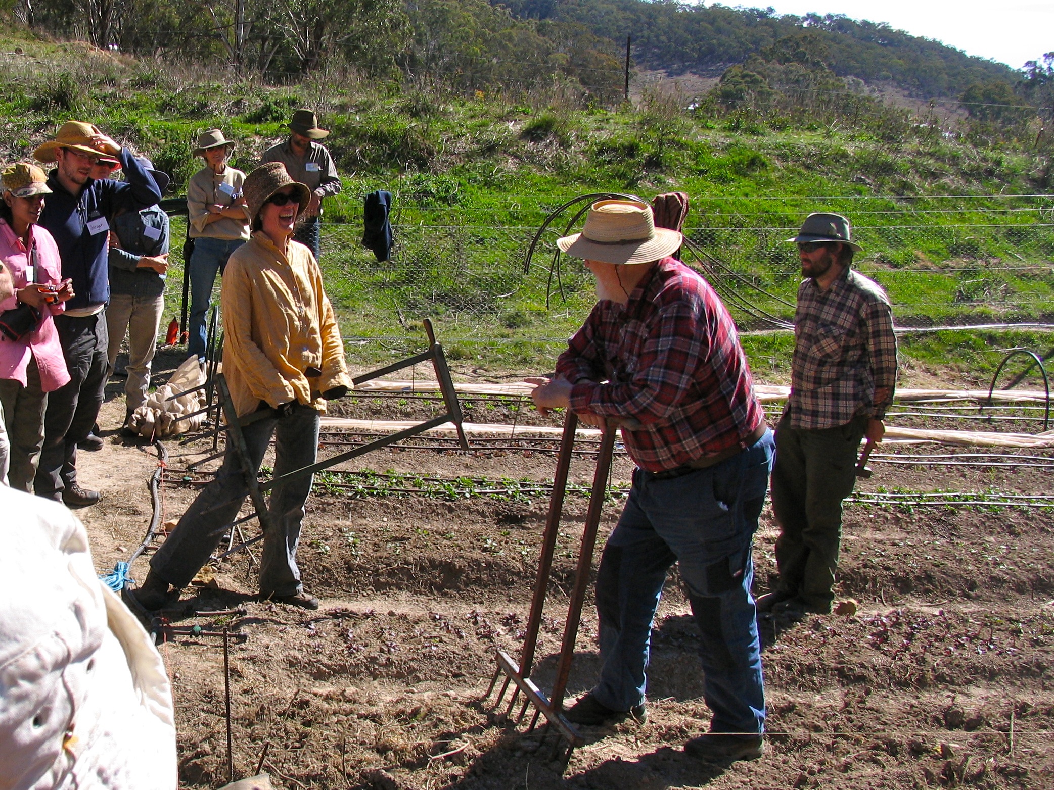 market garden training at milkwood farm