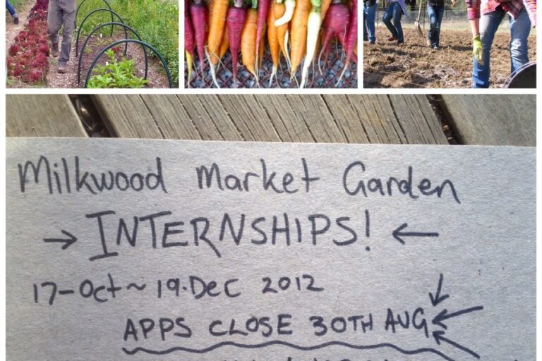 OMG internship OctDec
