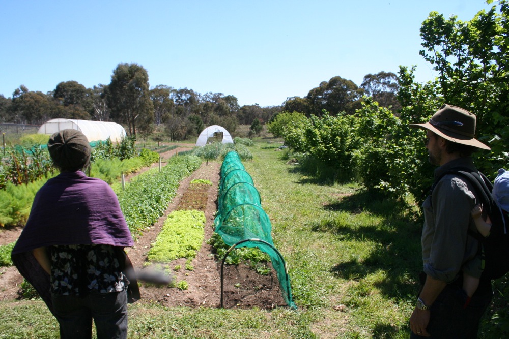 1209 allsun farm progression - 03