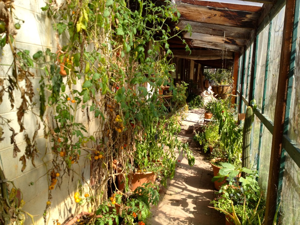 1209 allsun farm progression - 19