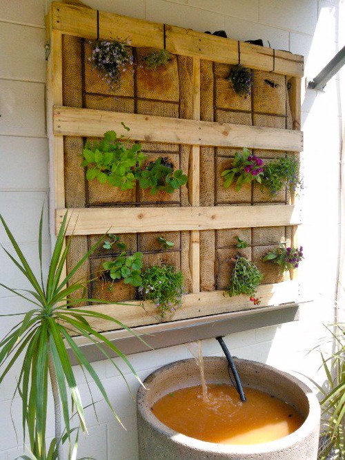 DIY Vertical Aquaponics on the patio - Milkwood: permaculture courses 