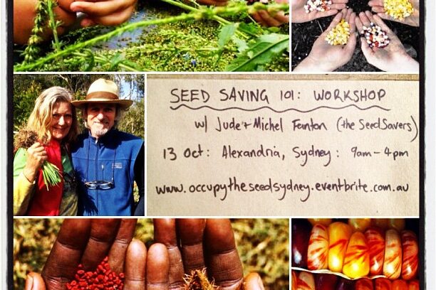 seedsavingwshopmilkwood