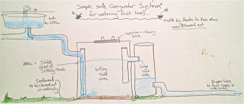 Building a Biological DIY Greywater System (With No Reedbeds) - Milkwood:  permaculture courses, skills + stories