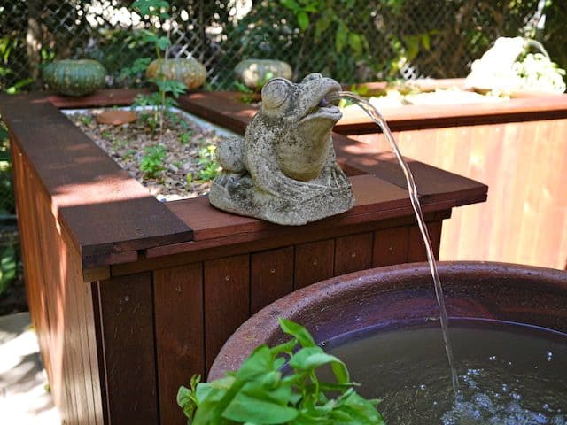 Backyard aquaponics nz Best fish tank: Check out these top-rated sea sanctuaries