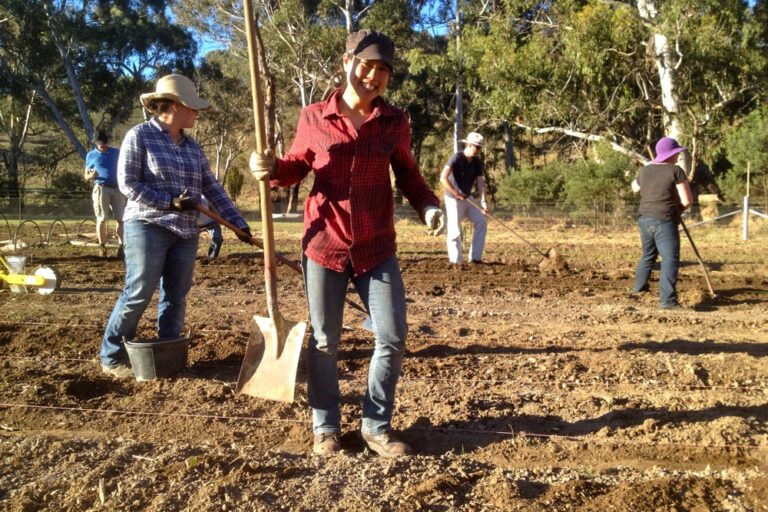 1210 IOMG milkwood – 07