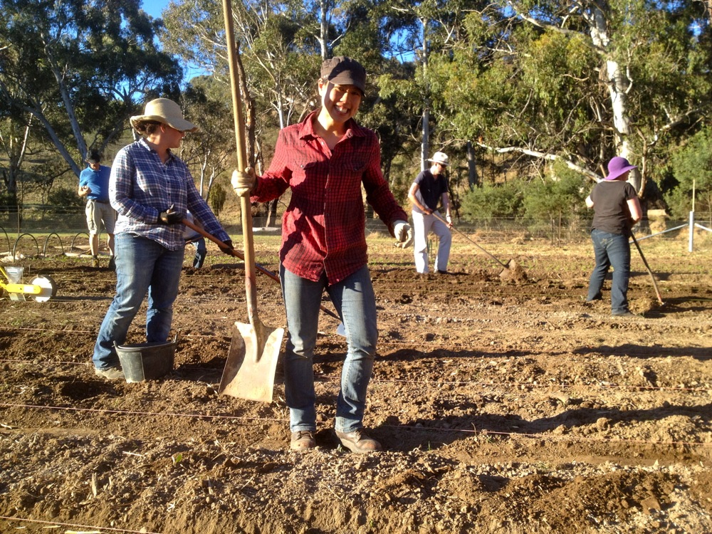 1210 IOMG milkwood - 07
