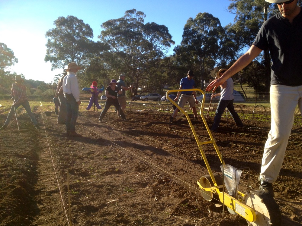 1210 IOMG milkwood - 09