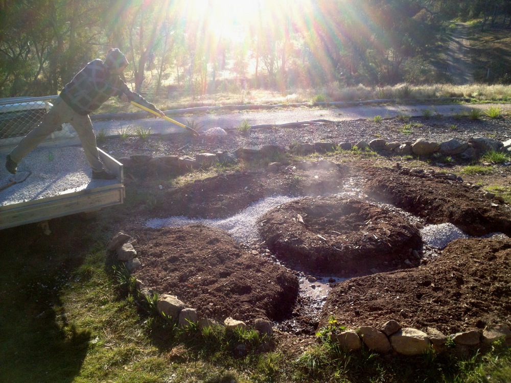 1210 nucleus forest design - 09