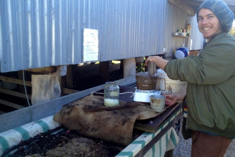 b – souping up the wormfarm – 1